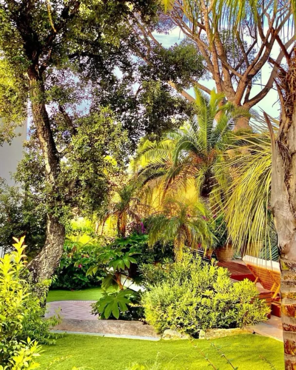 Création de jardin exotique sur mesure dans le Golfe de Saint-Tropez, Cogolin, Instinct Nature