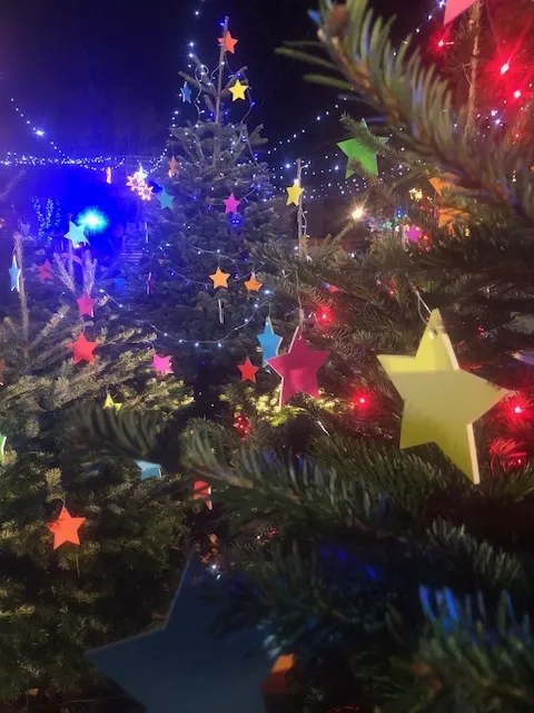 Décoration de Noël extérieur à Saint-Tropez., Cogolin, Instinct Nature